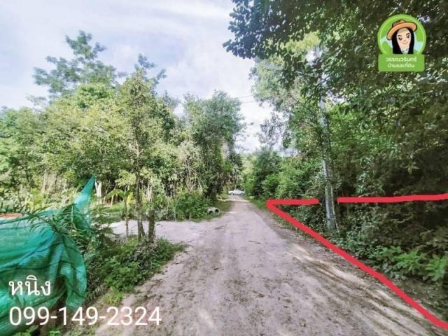 ที่ดินสร้างบ้าน 215 ตร.ว. บ้านนาดูนน้อย/ขามใหญ่ เพียง 650,000