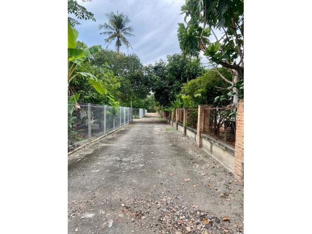 ขายที่ดิน แปลงสวย ใกล้โรงพยาบาลสันทราย