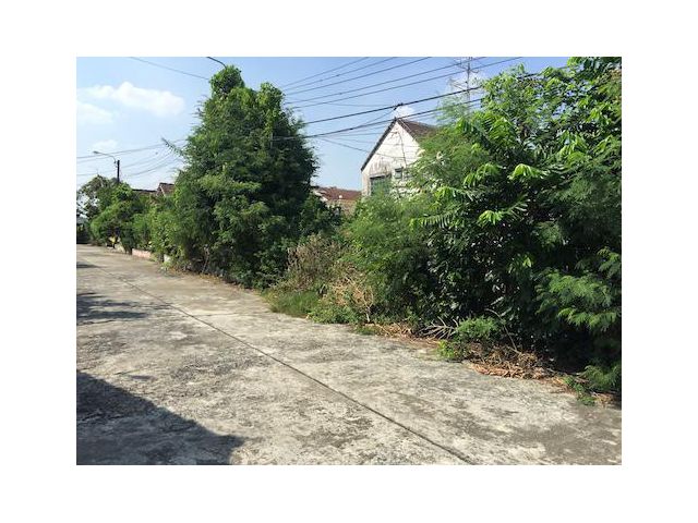 ✅ขายที่ดินกรุงเทพ กรีฑา39 พื้นที่ 49 ตร.วา ตารางวาละ 50,000 (25)