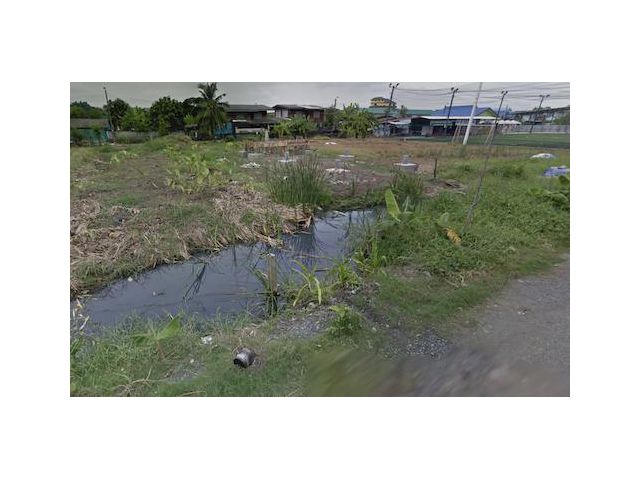 ✅ขายที่ดินถนนสามวา 12/1 พื้นที่ 200 ตร.วา ตารางวาละ 30,000 (36)