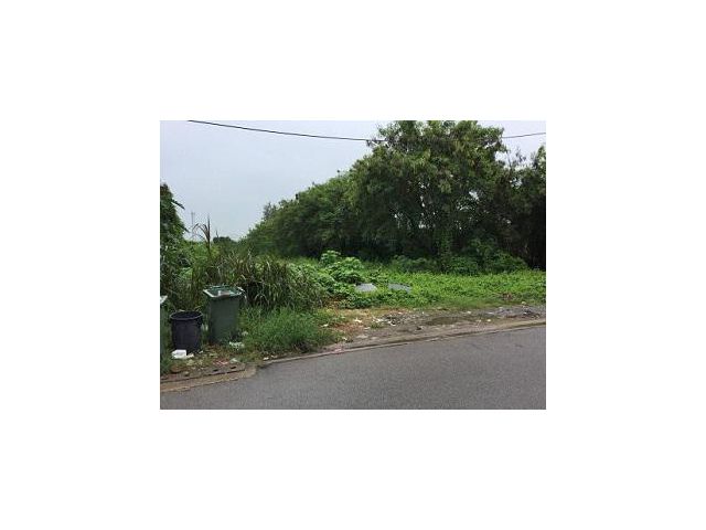 ✅ ขายที่ดินบางกะดี่25 พื้นที่ 738 ตร.วา ตารางวาละ30,000 (55)