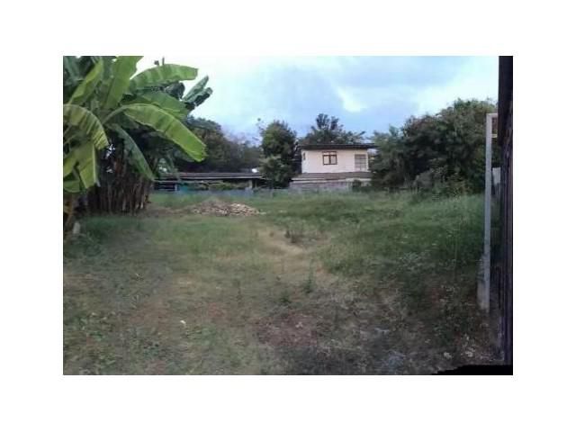 ✅ ขายที่ดินอุดมสุข30 แยก1 พื้นที่ 150ตร.วา ตารางวาละ 85,000 (56)