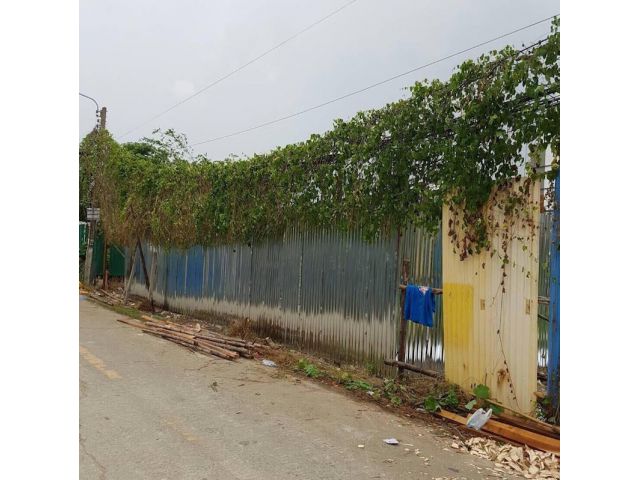 ✅ ขายที่ดินเสนานิคม1ซ 26 พื้นที่ 96 ตร.วา ตารางวาละ 99,000 (41)