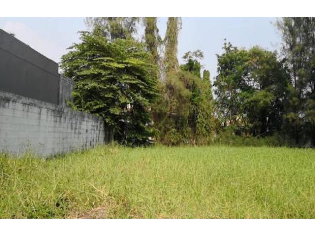 ✅ ขายที่ดินรามอินทรา103/3 หมู่บ้านแมกไม้รามอินทรา พื้นที่203 ตร.วา ตารางวาละ 80,000 (29)