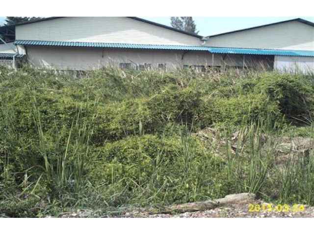 ✅ ขายที่ดินหทัยราษฏ์ 35 พื้นที่ 273 ตร.วา ตารางวาละ 22,000 (30)