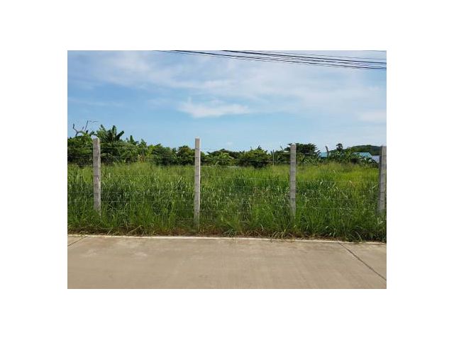 ขาย ที่ดิน ซอยร่มฤดี ซอยวัดป่ายุบ ซอยบ่อนไก่ ต.สัตหีบ อ.สัตหีบ จ.ชลบุรี 1 ไร่ 25 ตร.วา เข้าออกได้หลายซอยเหมาะทำรีสอร์ท Apartment บ้านพัก