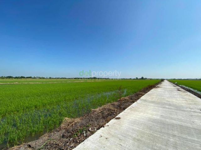 PR483ขายที่ดินหนองจอกคลองสิบสอง 13 ไร่ 32 ตรว หนองจอก