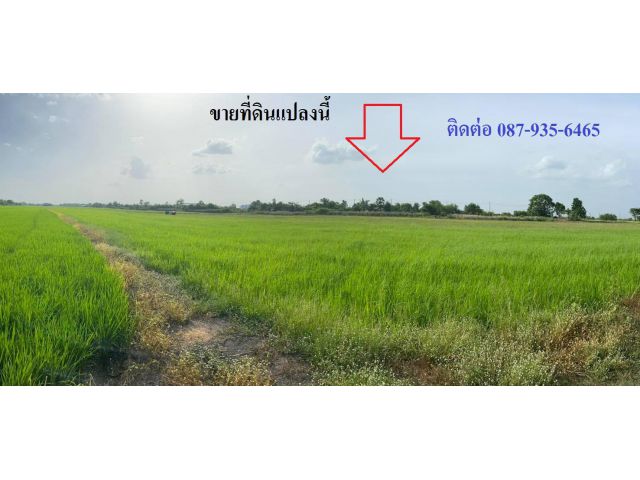 ขายที่ดินสวย เป็นที่นา หนองจอก คลองสิบ