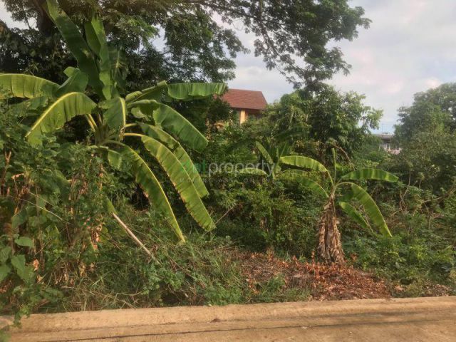 PJL288 ขายที่ดิน 129 ตร.วา ราษฎร์อุทิศ 53  สำหรับปลูกบ้านเดี่ยวอยู่อาศัย
