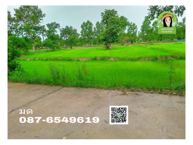 ที่ดินเหมาะทำโคกหนองนา