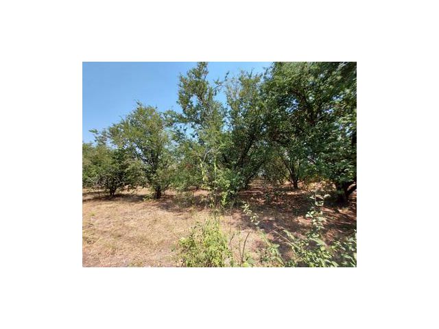 ที่ดินเปล่า 2 ไร่ ถนนสุรนารายณ์ ลพบุรี