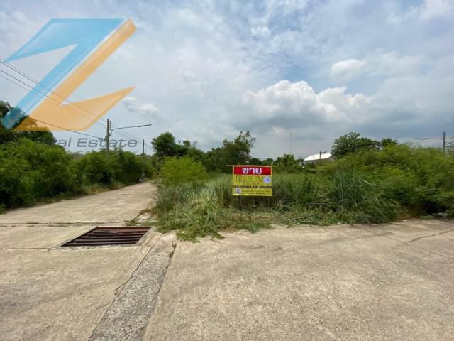 ขายที่ดินจัดสรรเนื้อที่ 50-150 ตร.ว.หมู่บ้าน พัทธรินทร์ ใกล้คลอง6 อ.ลำลูกกา จ.ปทุมธานี