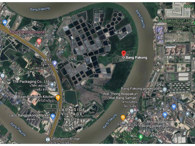 ขายที่ดินติดแม่น้ำบางปะกง 25 ไร่ แนวพื้นที่งอก ราคาไร่ละ 1.8 ล้านบาท อ.บางปะกง จ.ฉะเชิงเทรา
