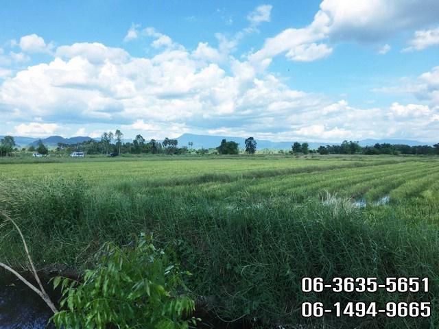 ขายที่สวยวิวเขา ต.เขาพระ อ.เมืองนครนายก