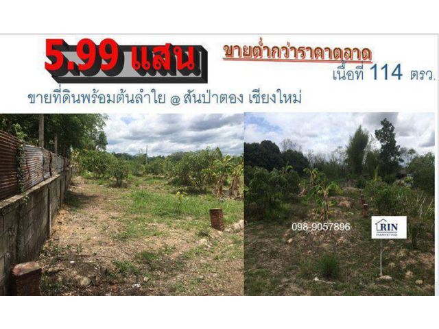 ขายที่ดินแปลงสวย  ราคาถูก อ.สันป่าตอง จ.เชียงใหม่ เนื้อที 114 ตรว.ขายเพียง 549,000 บาท
