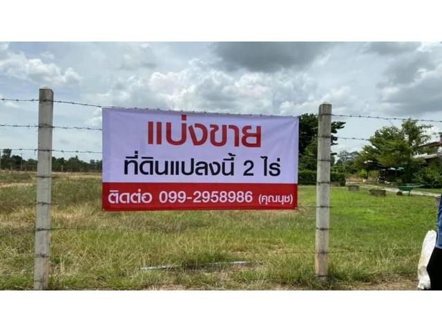 แบ่งขายที่ดิน 2 ไร่ จังหวัดพิษณุโลก