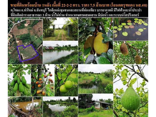 ขายที่ดินทำเลดี พร้อมสวน ท่าใหม่ จังหวัดจันทบุรี