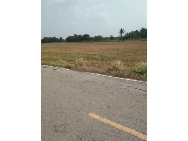 เนื้อที่ 14 ไร่ 3งาน ตำบล โพรงอากาศ