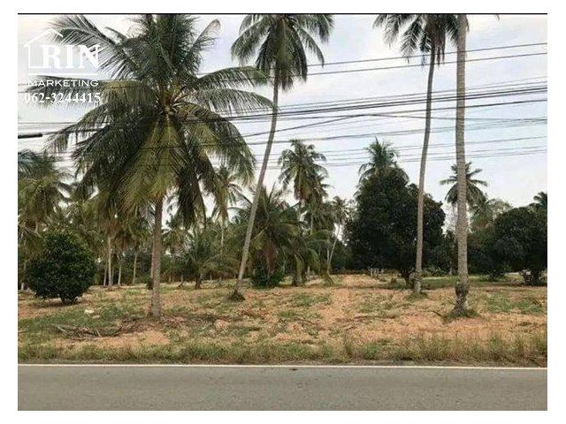 รหัสทรัพย์ :   AK070721-01 ที่ดิน 2 ไร่ ติดถนนลาดยาง ใกล้อ่างเก็บน้ำบ้านอำเภอ ต.ห้วยใหญ่ บางละมุง ชลบุรี