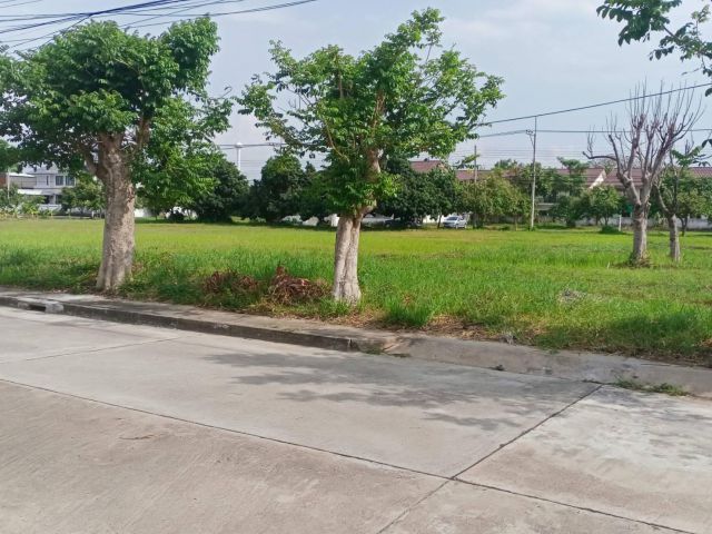 ขายที่ดินหางดง ในหมู่บ้านเวิลด์คัพ เนื้อที่ 107 ตร.ว. วาละ 30,000
