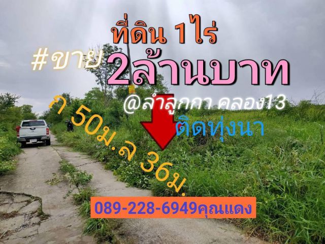 ขายที่ดิน 1ไร่ ตรว.ละ5,000บาท ขายทั้งแปลง 2ล้านบาท