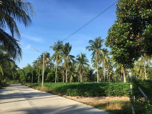 ขายที่ดินศรีราชา 13 ไร่ ติดถนนคอนกรีต ท้ายติดลำห้วย ใกล้ถนนเส้นสัตหีบ-พนมสารคาม(331) - 8 กม. จ.ชลบุรี