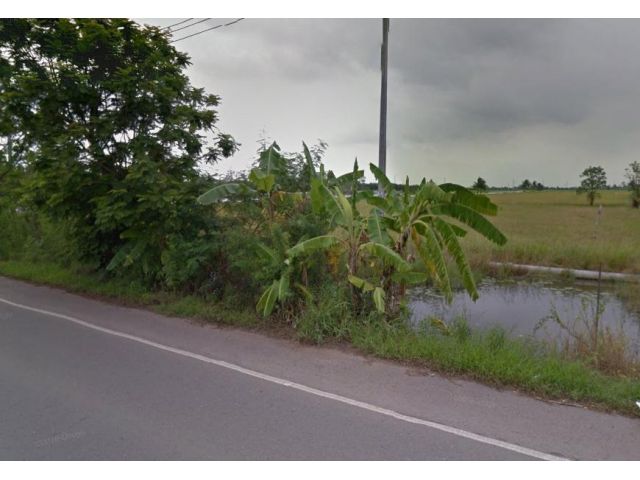 ขายที่ดินลาดกระบัง39ไร่ ถนนขุมทอง-ลำต้อยติ่ง