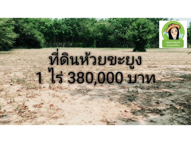 ที่ดินบ้านห้วยขะยูง ทางไปศรีสะเกษ 1 ไร่ 380,000.-
