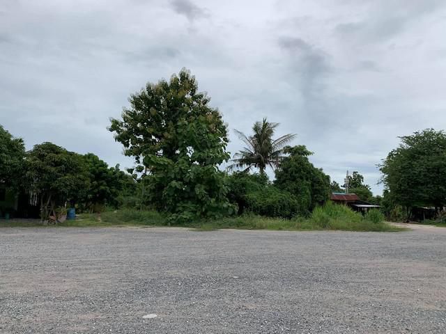 ขายที่ดินใกล้ท่าเรือแหลมฉบัง 21 ไร่ ติดถนน 2 ด้าน ถมแล้ว ใกล้ถ.สุขุมวิท(3) - 2 กม. จ.ชลบุรี