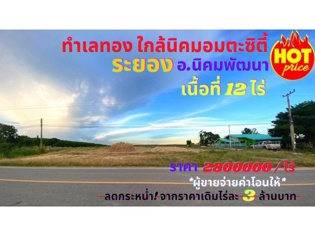 ขายที่ดินระยอง ใกล้นิคมอมตะซิตี้ เนื้อที่ 12 ไร่ ต.พนานิคม อ.นิคมพัฒนา จ.ระยอง ทำเลเหมาะสร้างโรงงาน โกดัง บ้านจัดสรร