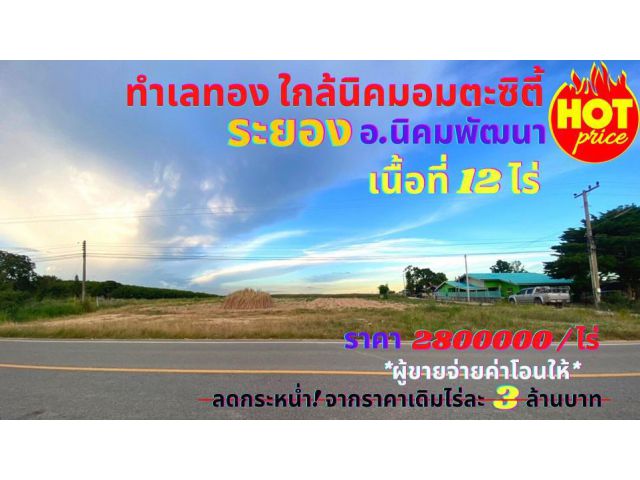 ขายที่ดินระยอง ใกล้นิคมอมตะซิตี้ เพียง 1กม. เนื้อที่ 12 ไร่ ต.พนานิคม อ.นิคมพัฒนา จ.ระยอง ทำเลเหมาะสร้างโรงงาน โกดัง บ้า