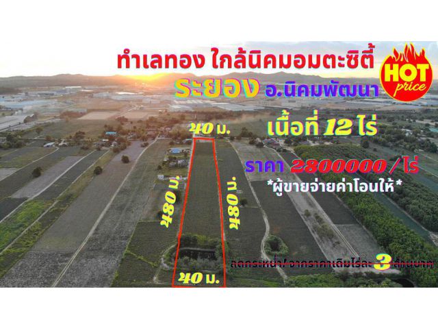 ขายที่ดินระยอง ใกล้นิคมอมตะซิตี้ เนื้อที่ 12 ไร่ ต.พนานิคม อ.นิคมพัฒนา จ.ระยอง ทำเลเหมาะสร้างโรงงาน โกดัง บ้านจัดสรร