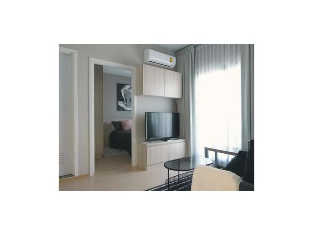 คอนโดThe Tree Sukhumwit 71-Ekkamai   1 bedroom