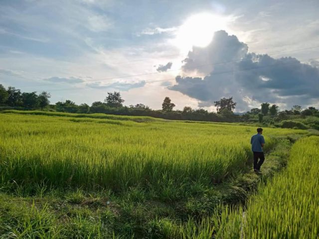ขายที่ดิน บ้านน้ำปั้ว  อำเภอ เวียงสา  จังหวัด น่าน