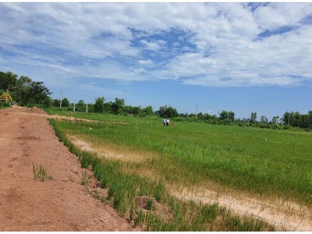 ขายที่ดิน สระบุรีเขตติดวังน้อย