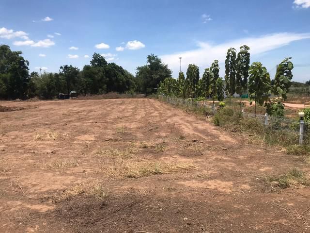 ขายที่ดิน อยู่ด้านหลังวัดคีรีเจริญผล