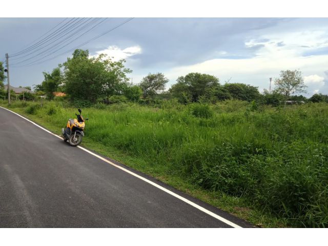 ที่ดินบ้านทุ่งข้าวตอก อ.สันทราย