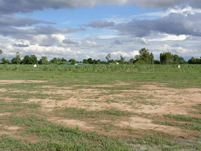 ขายที่ดินสวย จ.สุพรรณ (สด-ผ่อน) บรรยากาศดีทำเลดี เหมาะสร้างบ้านสวนยามเกษียณ