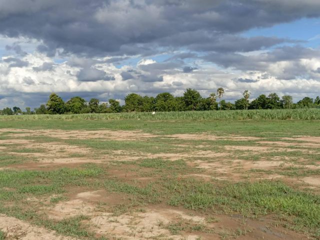 ขายที่ดินสวย จ.สุพรรณ (สด-ผ่อน) บรรยากาศดีทำเลดี เหมาะสร้างบ้านสวนยามเกษียณ