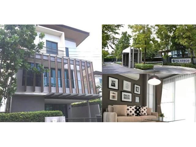 ขายบ้านเดี่ยวโครงการ : หมู่บ้าน AQ ARBOR สวนหลวง