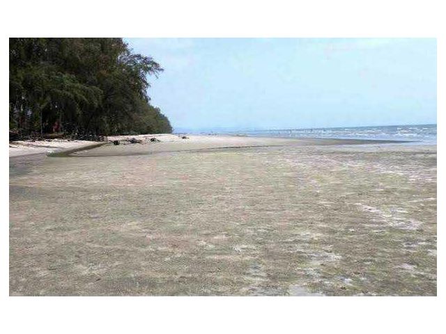 S1208ขายที่ดินติดชายหาด  อำเภอคลองใหญ่ จ.ตราด  คุณเอ็ม 097-414-6165