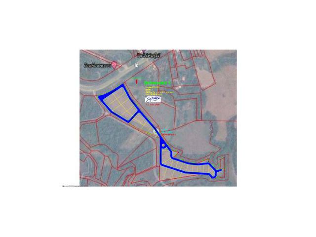 ที่ดิน เนื้อที่ 24 ไร่ 92 ตารางวา จังหวัดเลย