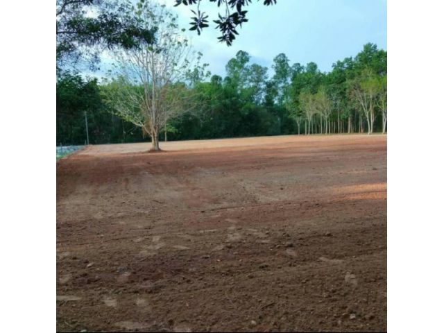 ขายที่ดินเมืองระยองถมแล้ว 2 ไร่ ราคาถูกยกแปลง 1.95 ล้านบาท ตรงข้ามนิคมหลักชัยระยอง จ.ระยอง