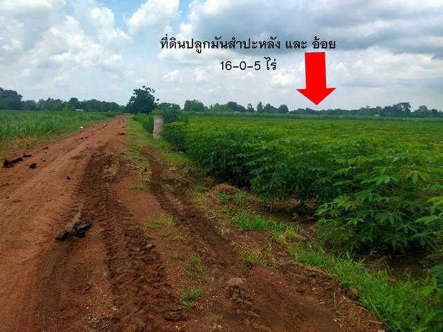 ที่ดินทำบ้านสวนติดถนนมีน้ำมีไฟฟ้า เขตอำเภอศรีเทพ จ.เพชรบูรณ์
