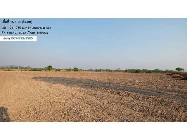 ขายที่ดิน 15 ไร่ & 50 ไร่ (2 แปลง, 2 โฉนด,เจ้าของขายเอง) ติดทางหลวงสาย 11 อ.หนองบัว นครสวรรค์