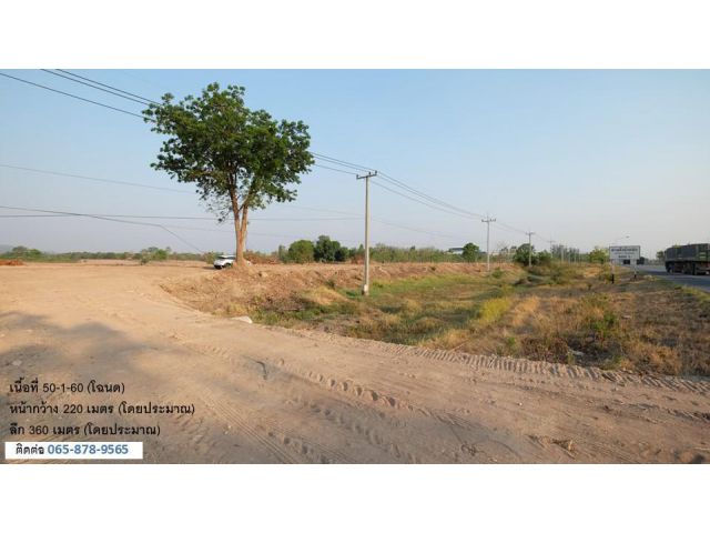 ขายที่ดิน 15 ไร่ & 50 ไร่ (2 แปลง, 2 โฉนด,เจ้าของขายเอง) ติดทางหลวงสาย 11 อ.หนองบัว นครสวรรค์