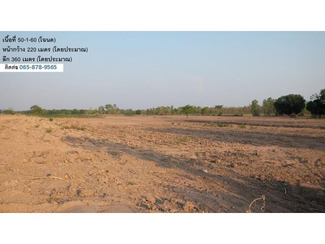 ขายที่ดิน 15 ไร่ & 50 ไร่ (2 แปลง, 2 โฉนด,เจ้าของขายเอง) ติดทางหลวงสาย 11 อ.หนองบัว นครสวรรค์