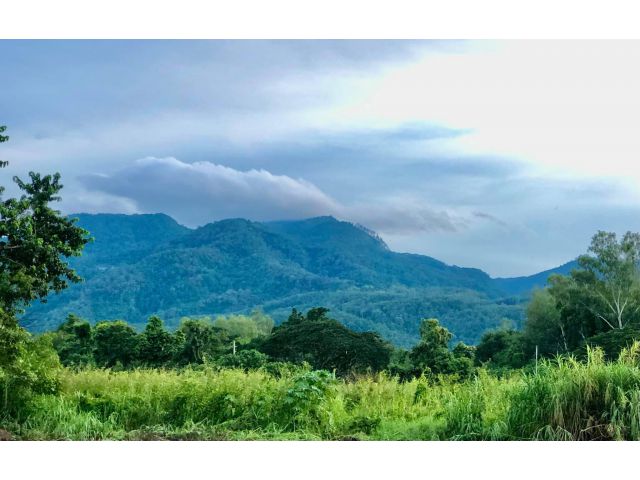 ที่ดินติดแม่น้ำ อ.แม่ริม เชียงใหม่ ใกล้เมือง วิวดอยสุเทพ