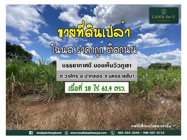 #ขายที่ดินโฉนดติดถนนวิวภูเขา #บ้านวังไทร #ถูกมาก ต.วังไทร อ.ปากช่อง จ.นครราชสีมา