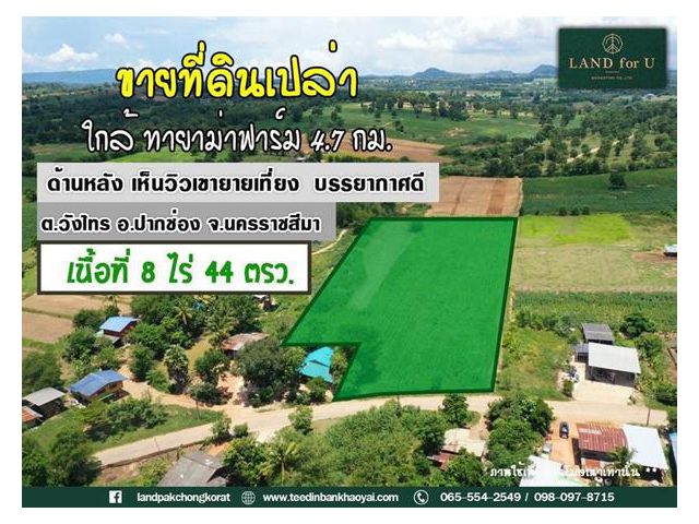 ที่ดินติดถนนราคาถูก!! #ขายที่ดินปากช่อง-บ้านมอทรายทอง #ด้านหลังหินวิวเขายายเที่ยง #ใกล้ทายาม่าฟาร์ม4.7กม.